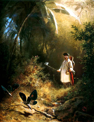 Der Schmetterlingsfänger 1840