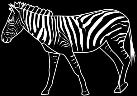 ZebraGazelle