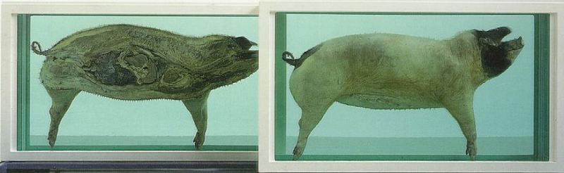 Damien Hirst: This little piggy went to market, this little piggy stayed at home