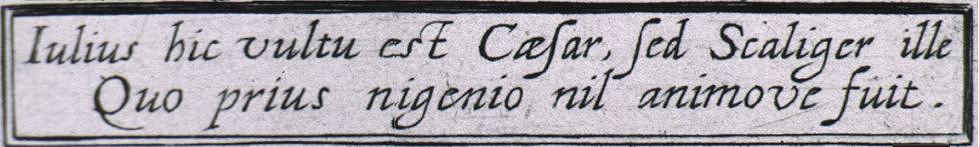 Nach Gesicht und Aussehen ist dies hier Julius Csar, 
aber es ist jener Scaliger, der diesem sowohl an Geist wie Mut berlegen war