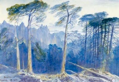 Lear: Pine Forest of Bavella